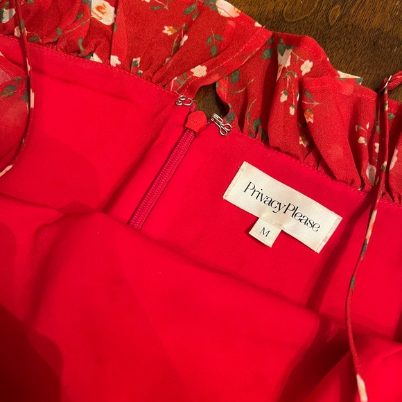 Privacy Please Dakota Mini Dress - Picture 6 of 6